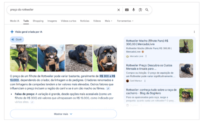 exemplo de resultado de pesquisa com AI Overview do Google