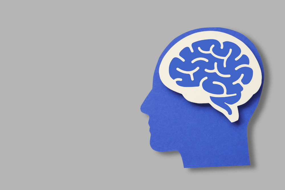 Ilustração de cabeça com cérebro para representar pensamento e desafio